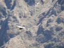Arequipa, Colca Canyon