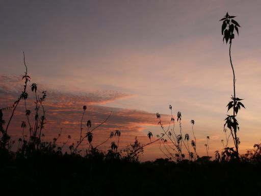 P1080473