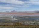 laguna rojo