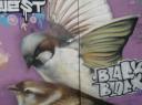 Heel de stad vol met grafitti
