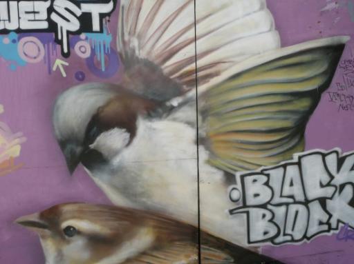 Heel de stad vol met grafitti