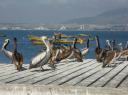 La Serena - Coquimbo