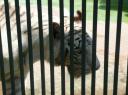 Er was ook een dierentuin in t park