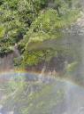 Regenboog