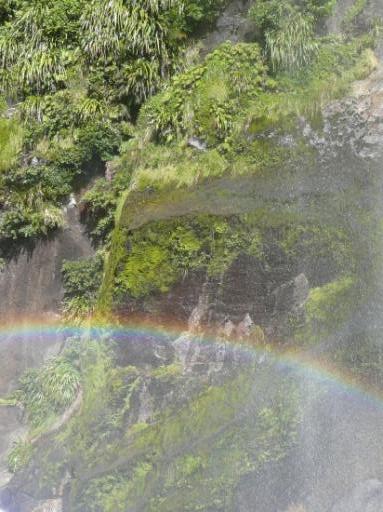 Regenboog