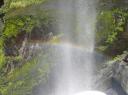 regenboog