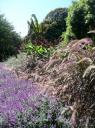 Botanische tuin