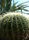 Botanische tuin