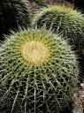 Niet op gaan zitten...