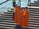 Hup Holland Hup
