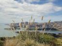 Op weg naar Okains Bay