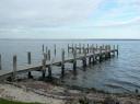 koala Island