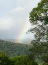 Regenboog