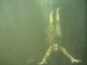 Aardig wat water in mn neus :S