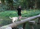 Wandelen