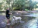 Met de doggies