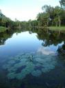 Botanische tuin Cairns