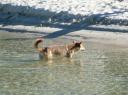 Fraser Island