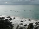 byron bay