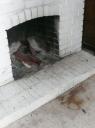 en toen hadden we t huis bijna in brand gezet...