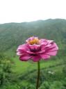 Annapurna Circuit