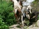 Annapurna Circuit