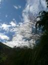 Annapurna Circuit