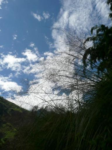 Annapurna Circuit