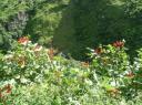 Annapurna Circuit