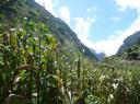 Annapurna Circuit