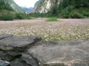 Annapurna Circuit