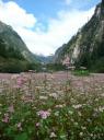 Annapurna Circuit