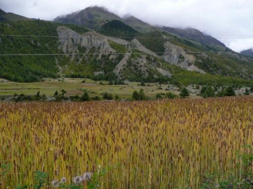 Annapurna Circuit