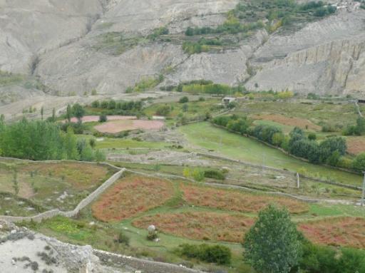 Annapurna Circuit