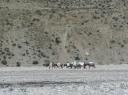Annapurna Circuit