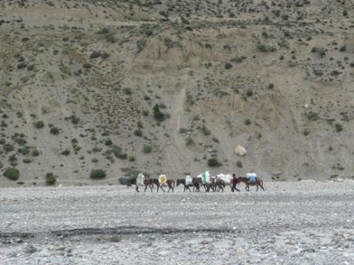 Annapurna Circuit