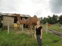 Chitwan
