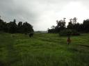 Chitwan