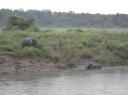 Chitwan