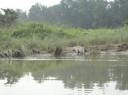 Chitwan
