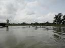 Chitwan