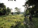 Chitwan