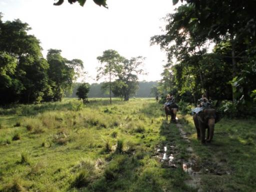 Chitwan