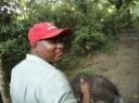 Chitwan