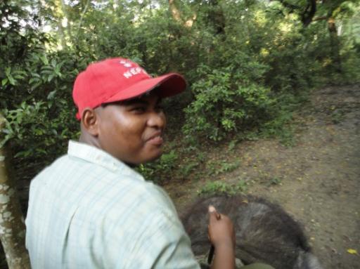 Chitwan