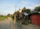 Chitwan
