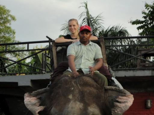 Chitwan
