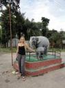 Chitwan