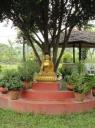 Chitwan