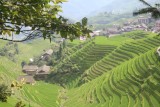 Uitzicht over de rijstvelden